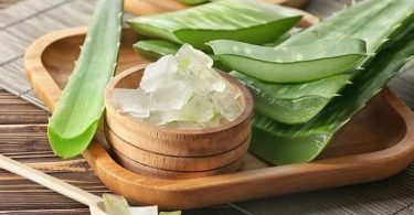 Benefits of Aloe Vera for Hair, Skin and Weight-Loss