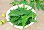 नीम के फायदे और नुकसान – Neem Benefits and Side Effects in Hindi