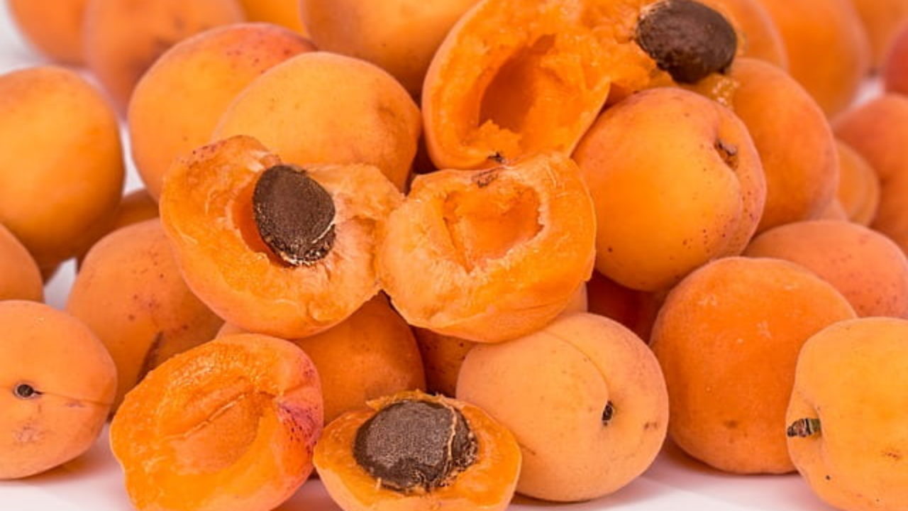 Apricot Dry Fruit In Hindi
