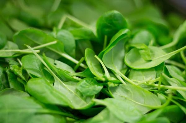 पालक खाने के फायदे - Health Benefits Of Spinach in Hindi