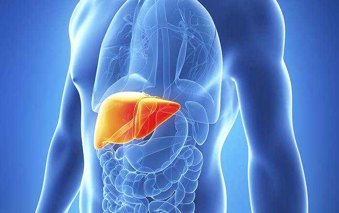 15 दिनों में एक बार अपने लीवर को जरूर साफ करना चाहिए, जानिए लीवर साफ करने का सही तरीका