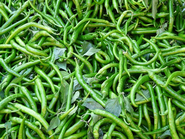 हरी मिर्च खाने के स्वास्थ्यवर्धक लाभ - Health benefits of green chili in Hindi