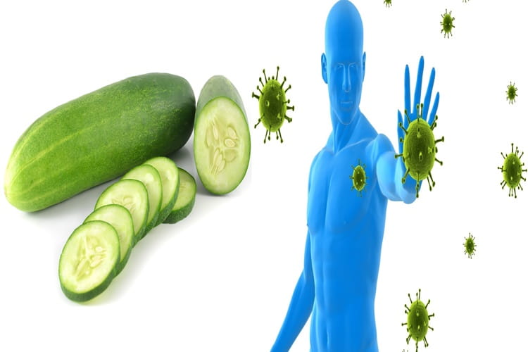 खीरे के फायदे प्रतिरोधक शक्ति बढ़ाने में – Cucumber Goof for Immune System in hindi