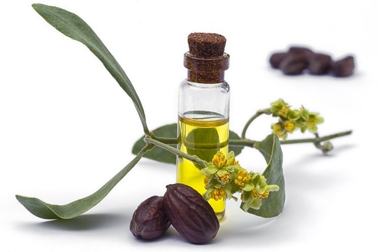 जोजोबा ऑयल के फायदे और नुकसान jojoba oil benefits and side effects Hindi
