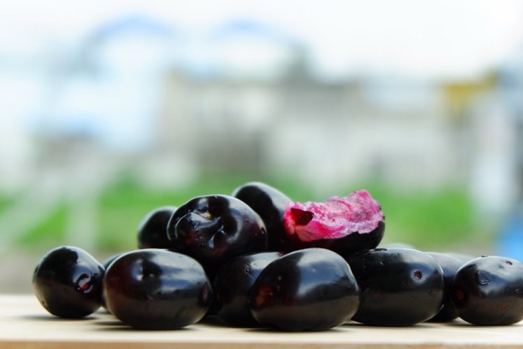 जामुन के फायदे गुण लाभ और नुकसान – Jamun (Black Plum) benefits and side effects in hindi