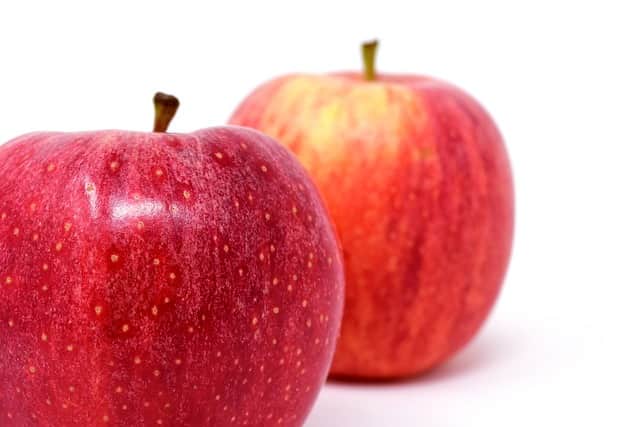 सेब के फायदे मस्तिष्‍क के लिए – Apple Benefits For Brain health in Hindi