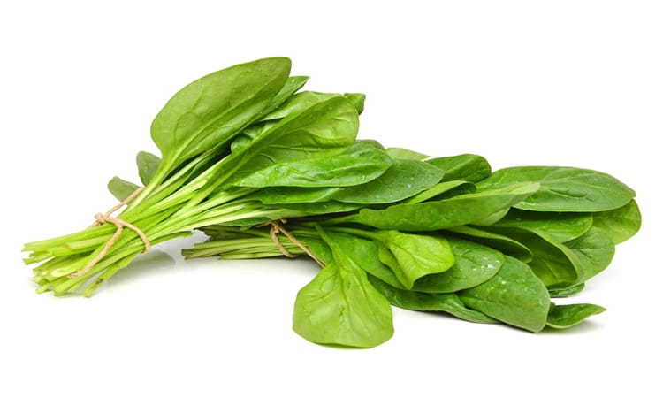 मैग्नीशियम युक्त भोज्य पदार्थ है पालक -  Magnesium rich food spinach in hindi