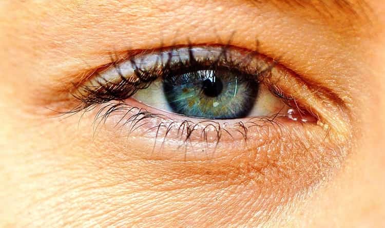 एंटीऑक्सीडेंट के गुण आंखों की रोशनी के लिए - Antioxidants for healthy eyes in Hindi
