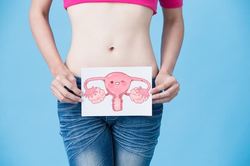 गर्भाशय की स्थिति - Uterus location in Hindi