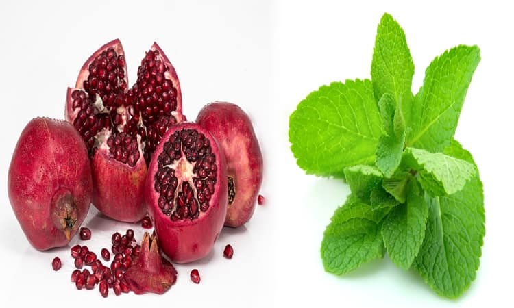 अनार और पुदीने से बनायें डिटॉक्स वाटर – Pomegranate Mint Detox water in Hindi