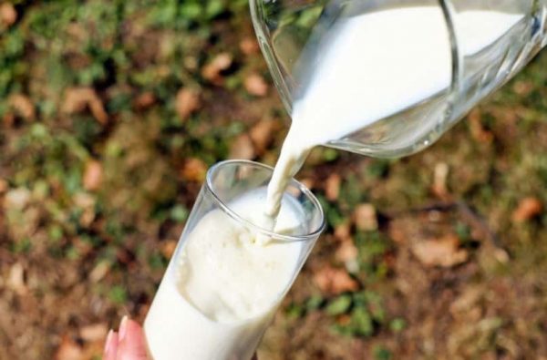 दूध पीने के नुकसान – Milk Side effects in Hindi