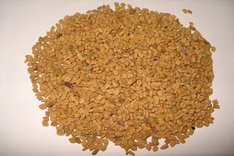 मेथी के बीज कोलेस्ट्रॉल को कम करने का तरीका – Fenugreek seeds for Reduce Cholesterol in Hindi