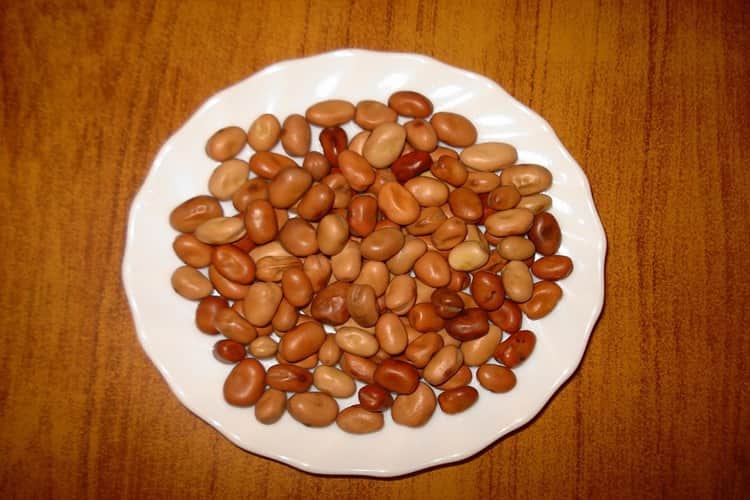 फावा बीन्‍स के नुकसान – Fava Beans ke Nuksan in Hindi
