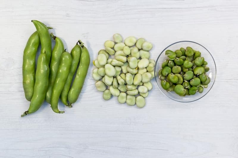 फावा बीन्‍स के फायदे – Fava Beans ke fayde in Hindi