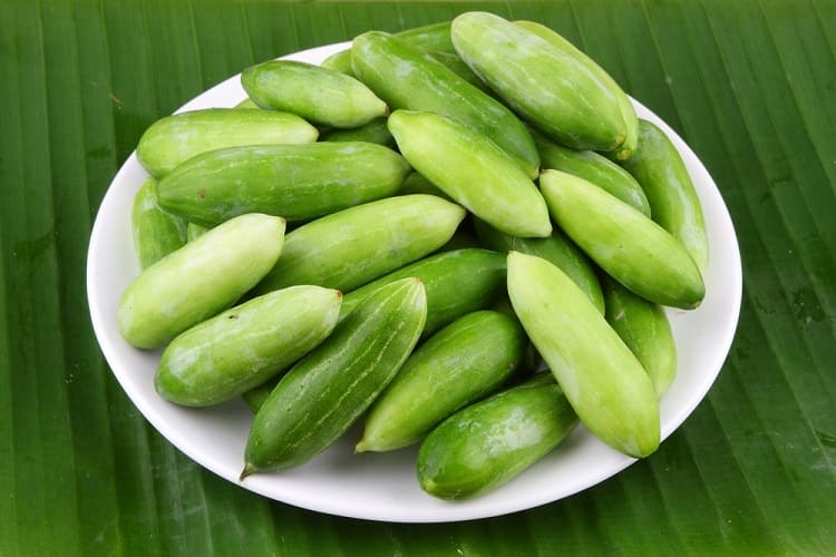 कुंदरू के फायदे और नुकसान – Kundru (Ivy gourd) ke fayde Aur Nuksan in Hindi