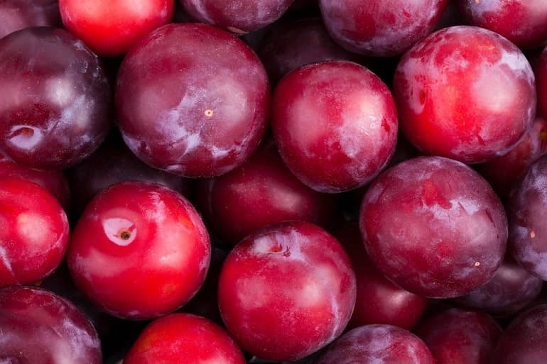 आलूबुखारा के फायदे और नुकसान Aloo Bukhara (Plums) Benefits in Hindi