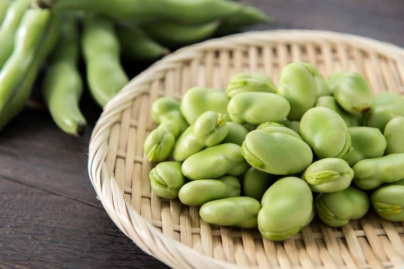 फावा बीन्‍स क्‍या हैं – What are the Fava Bean in Hindi