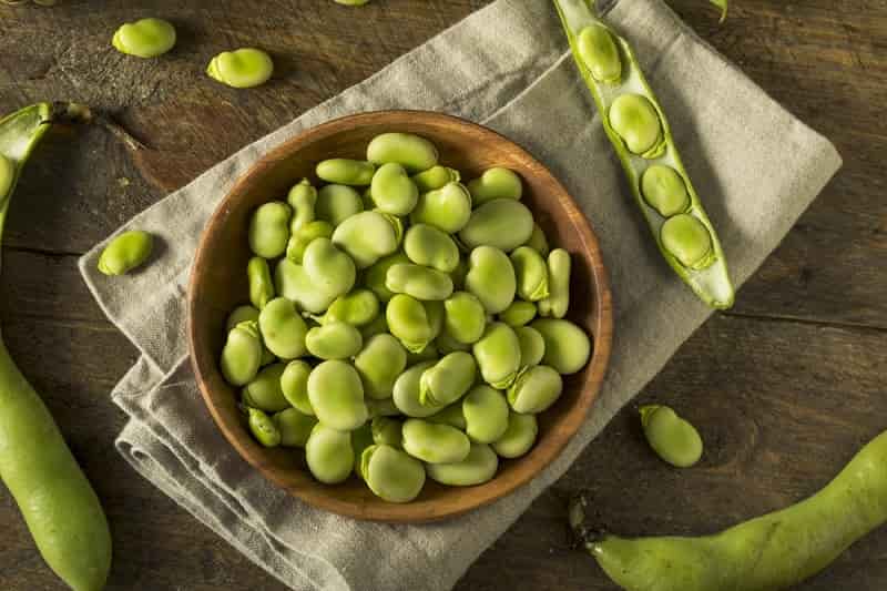 फावा बीन्स अर्थात बाकला के फायदे और नुकसान – Fava Bean Benefits and side effects in Hindi