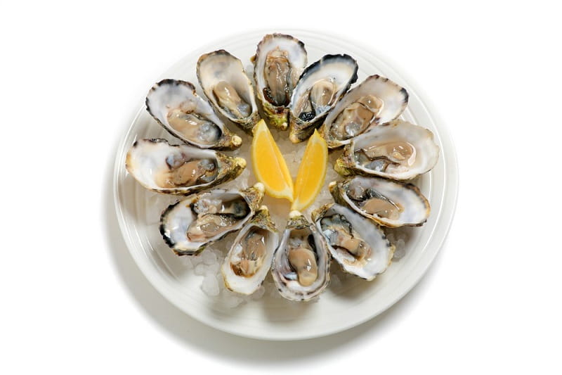 ऑयस्टर के फायदे और नुकसान Oysters Benefits And Side Effects In Hindi