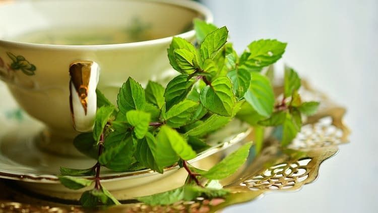 पाचन शक्ति बढ़ाने की आयुर्वेदिक दवा पुदीना कि चाय  - Pachan shakti badhane ke liye ayurvedic dawa mint Tea in Hindi