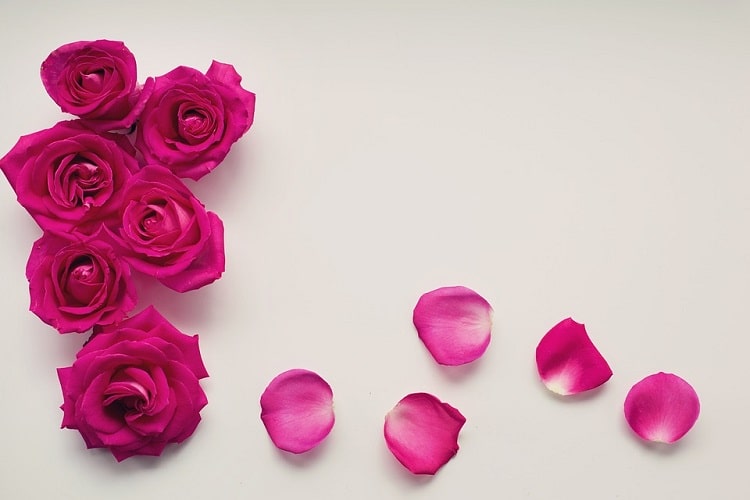 रोज की पंखुड़ी से बनायें एंटीबैक्टीरियल बर्फ - Ice cubes of rose petals in Hindi