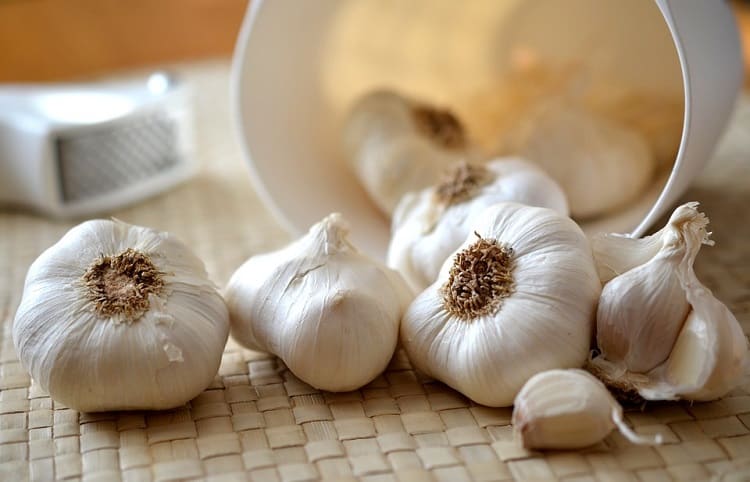 दाद खाज खुजली का रामबाण इलाज लहसुन से – Dad Khaj Khujli Ka Ramban Ilaj Garlic in Hindi