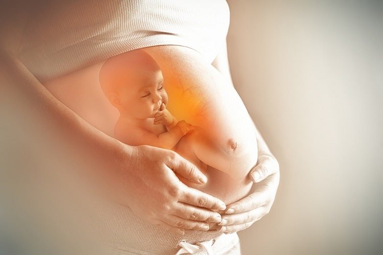 8 सप्ताह की गर्भावस्था में भ्रूण का विकास  – Development of fetus in eight weeks pregnancy in Hindi