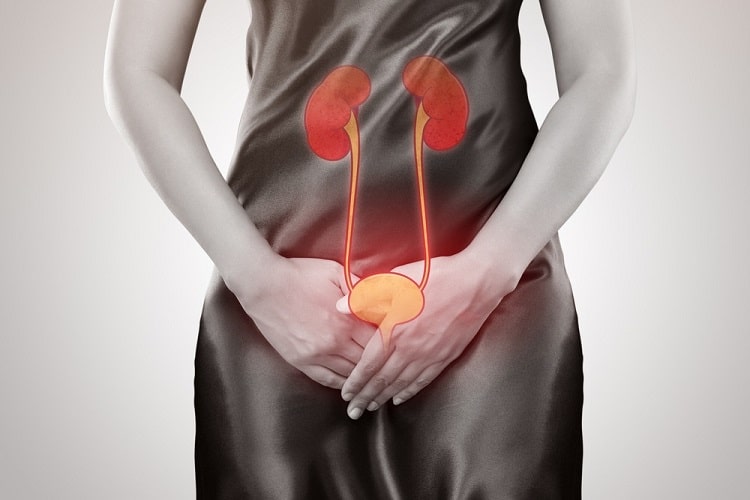 क्रोनिक किडनी डिजीज - Chronic kidney disease symptoms in Hindi