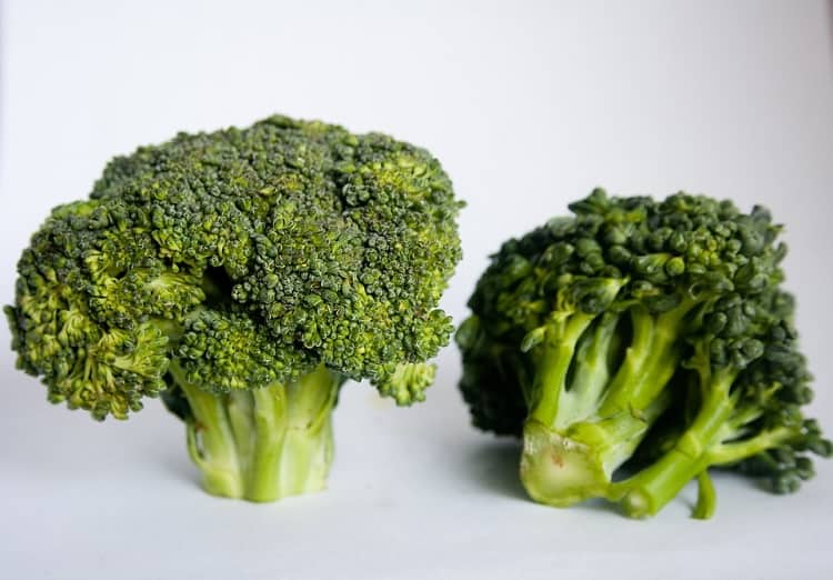 डायबिटीज को कंट्रोल करने वाले आहार ब्रोकली – Sugar control karne ke liye Broccoli in Hindi
