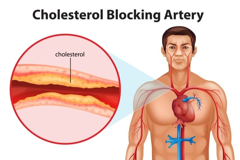 बेसन खाने के लाभ रक्‍त कोलेस्‍ट्रॉल कम करे – Besan benefits for Control Blood Cholesterol Levels in Hindi