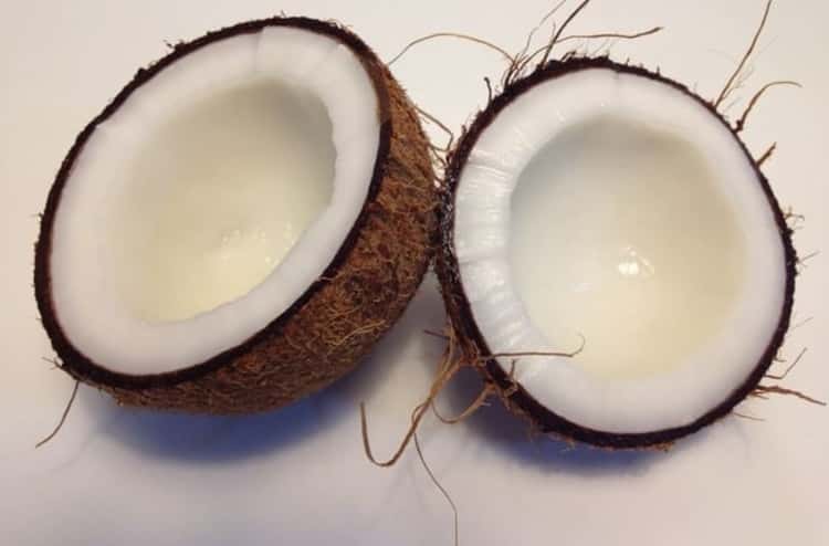 टेस्टोस्टेरोन बढ़ाने के लिए खाना चाहिए नारियल - Coconut foods that increase testosterone in Hindi