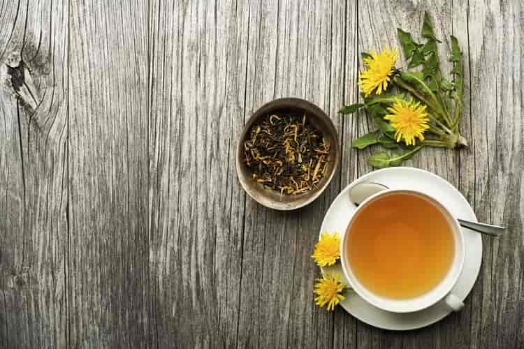 लीवर को मजबूत करने की दवा डंडेलियन चाय – Liver ko majboot karne ki dawa Dandelion root tea in Hindi