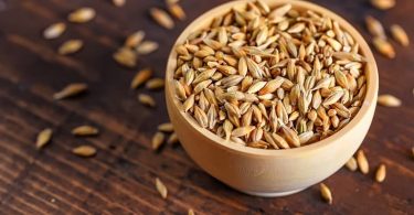 जौ के फायदे, उपयोग और नुकसान – jau (Barley) ke fayde aur nuksan in hindi