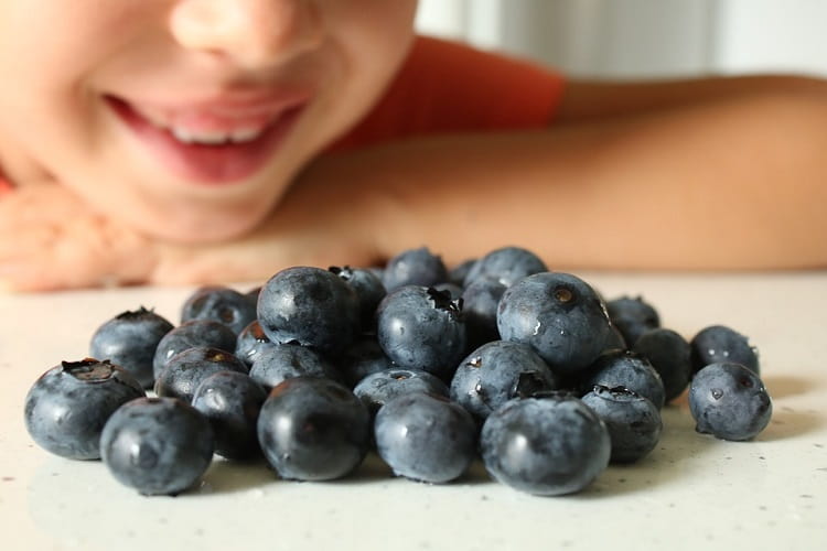 ब्‍लूबेरी स्‍वाद में शानदार है – Blueberry are brilliant in taste in Hindi