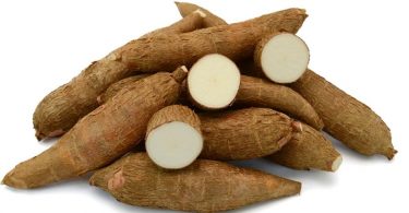 कसावा के फायदे, गुण, उपयोग और नुकसान - Cassava Benefits And Side Effects In Hindi