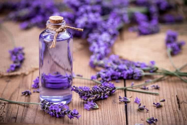 त्वचा की लालिमा का इलाज करे लैवेंडर ऑयल - lavender oil natural remedies for facial redness in Hindi