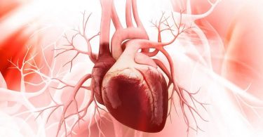 दिल (मानव हृदय) के बारे में मजेदार रोचक तथ्य - Amazing Fun Facts About the Heart in hindi