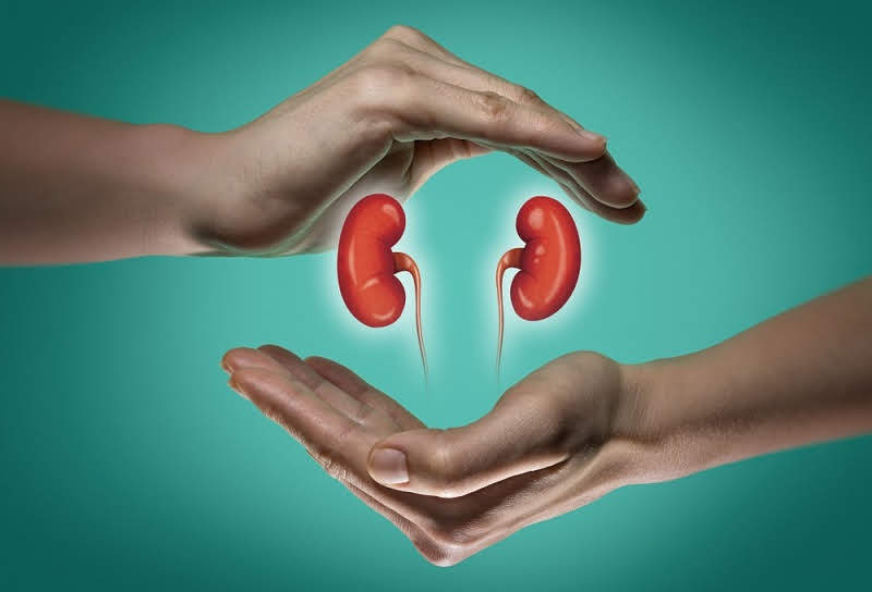 किडनी स्टोन के लिए घरेलू इलाज - Home remedies for kidney stone in Hindi