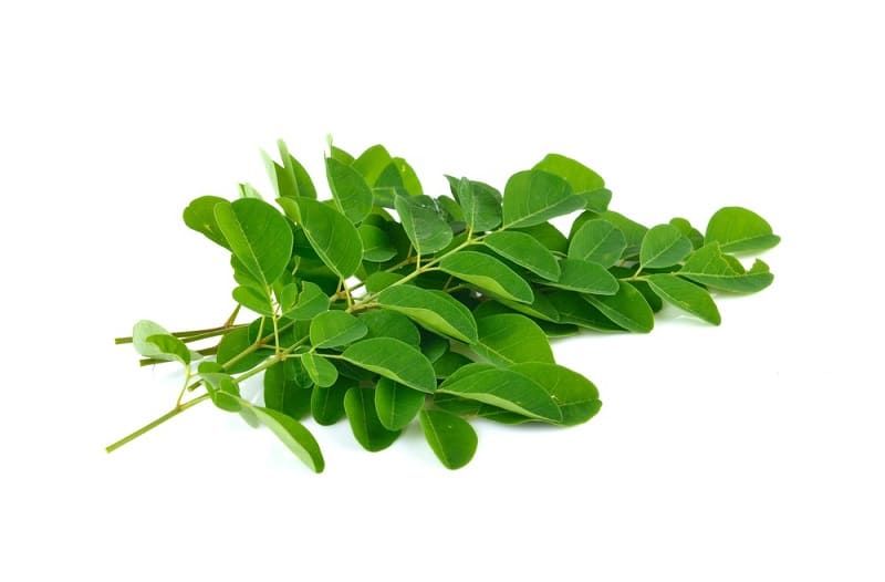 सहजन की पत्तियों के फायदे और नुकसान Drumstick (Moringa) Leaves