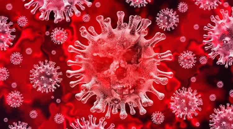 कोरोना वायरस के बारे में मूल बातें - Coronavirus basics in Hindi