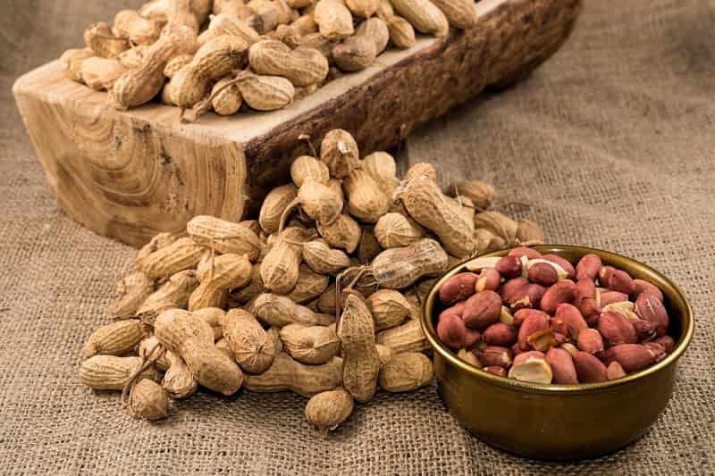 मधुमेह के मरीजों के लिए मूंगफली - Peanuts For Diabetes In Hindi