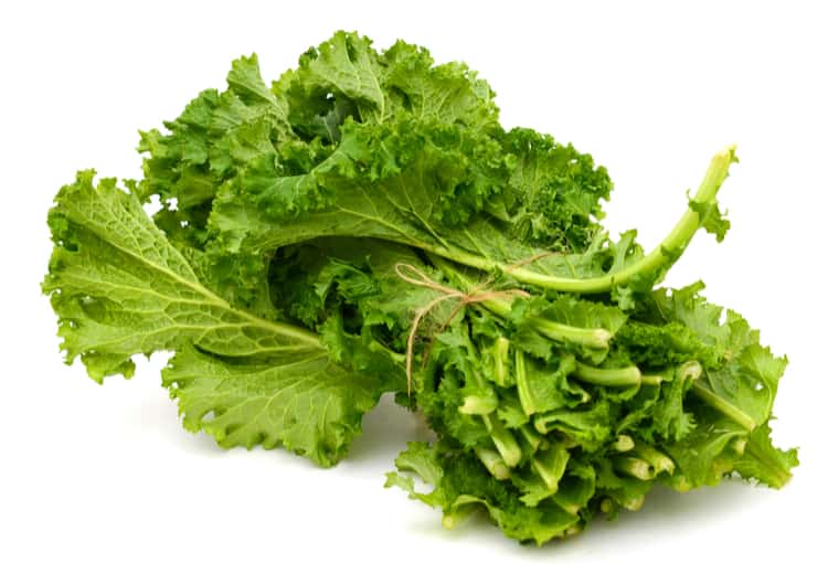 सरसों के साग के फायदे Benefits Of Mustard Greens In Hindi