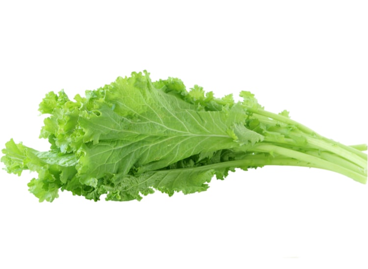 सरसों के साग के फायदे Benefits Of Mustard Greens In Hindi