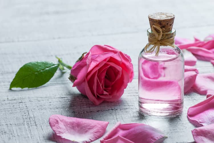 पिंपल्स के गड्ढों पर लगाएं गुलाब जल और चंदन - Rosewater and sandalwood paste for Pimple Pits in Hindi