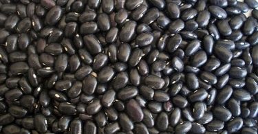 काले सेम (ब्लैक बीन) के फायदे और नुकसान - Black Beans Benefits, Uses and Side Effects in Hindi