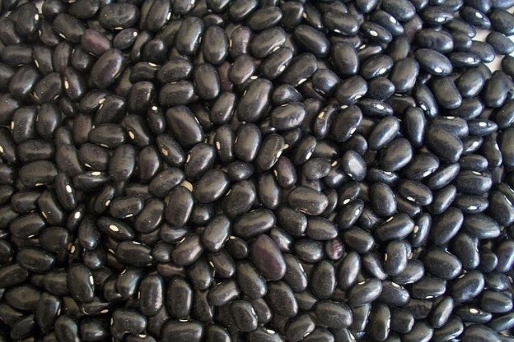 काले सेम (ब्लैक बीन) के फायदे और नुकसान Black Beans Benefits, Uses