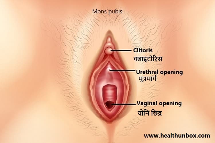 योनि क्या है - What is vagina in Hindi