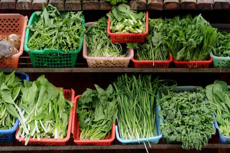 शरीर को ठंडा रखने के लिए खाएं हरी पत्‍तेदार सब्जियां - Body ko thanda rakhne ke liye khayen Leafy Green Vegetables in Hindi