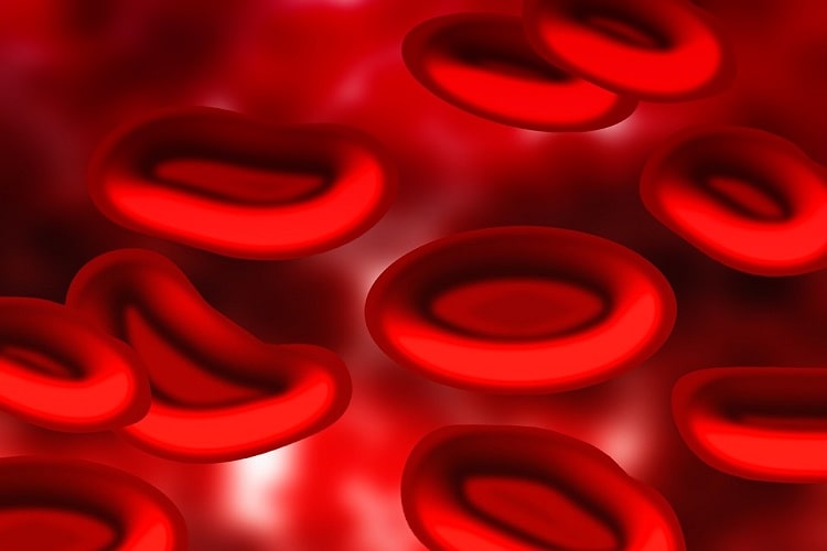 मिल्क क्रीम बेनिफिट फॉर रेड ब्लड सेल्स में - Milk Cream Benefits for Red Blood Cells