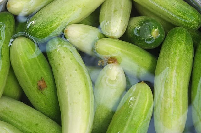 खीरे के बीज के नुकसान - Side effects of cucumber seeds in Hindi